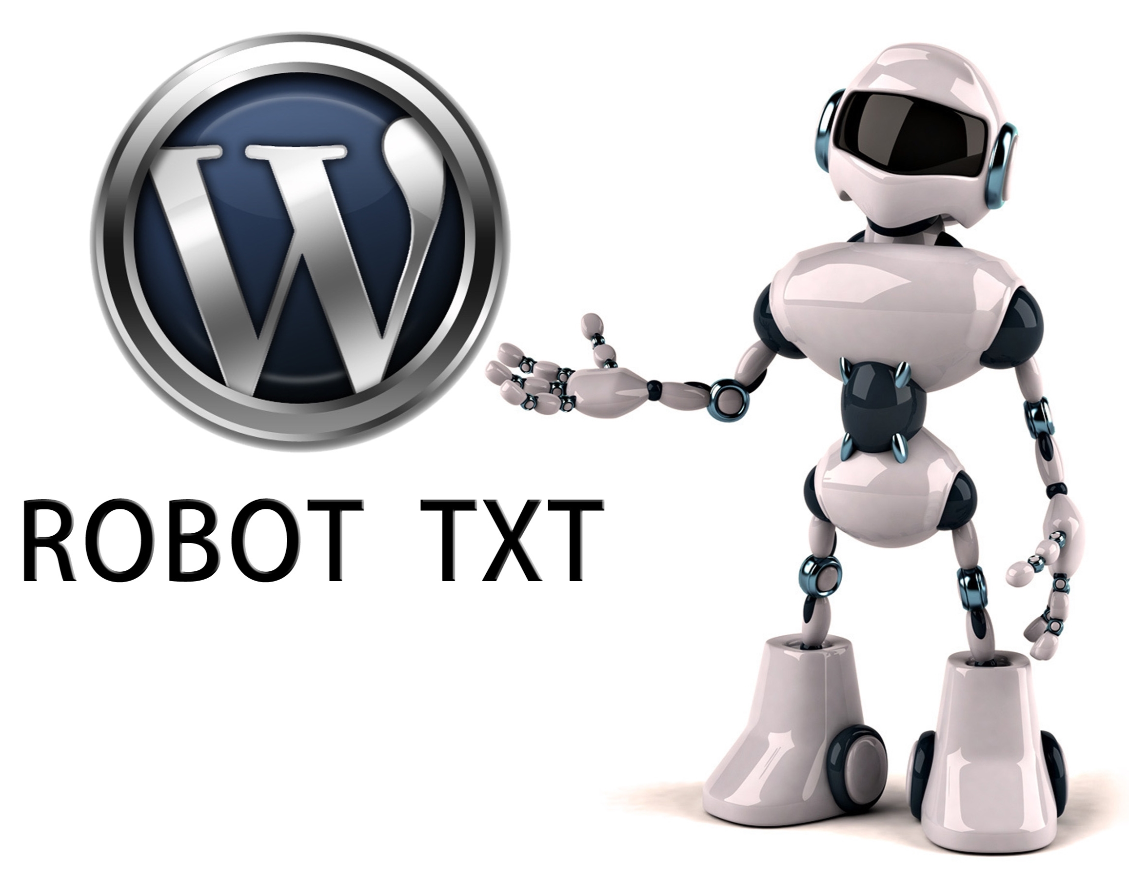 Образец robots txt для сайта